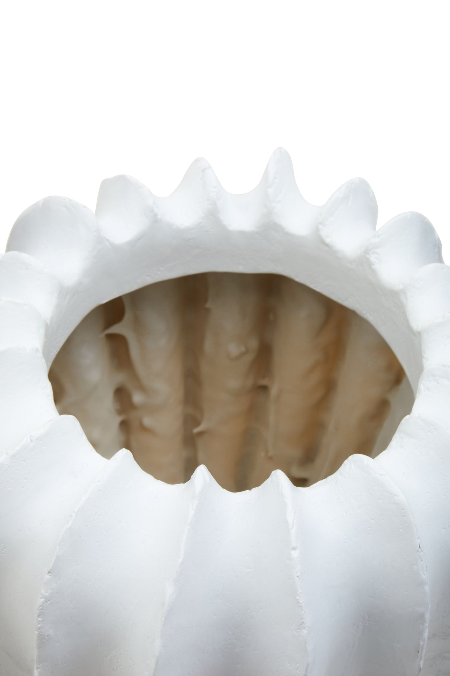 Day Shell Vase