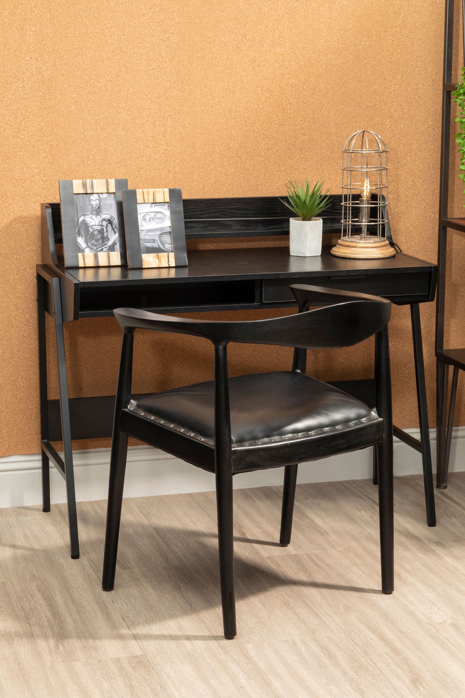 Dining Chairs