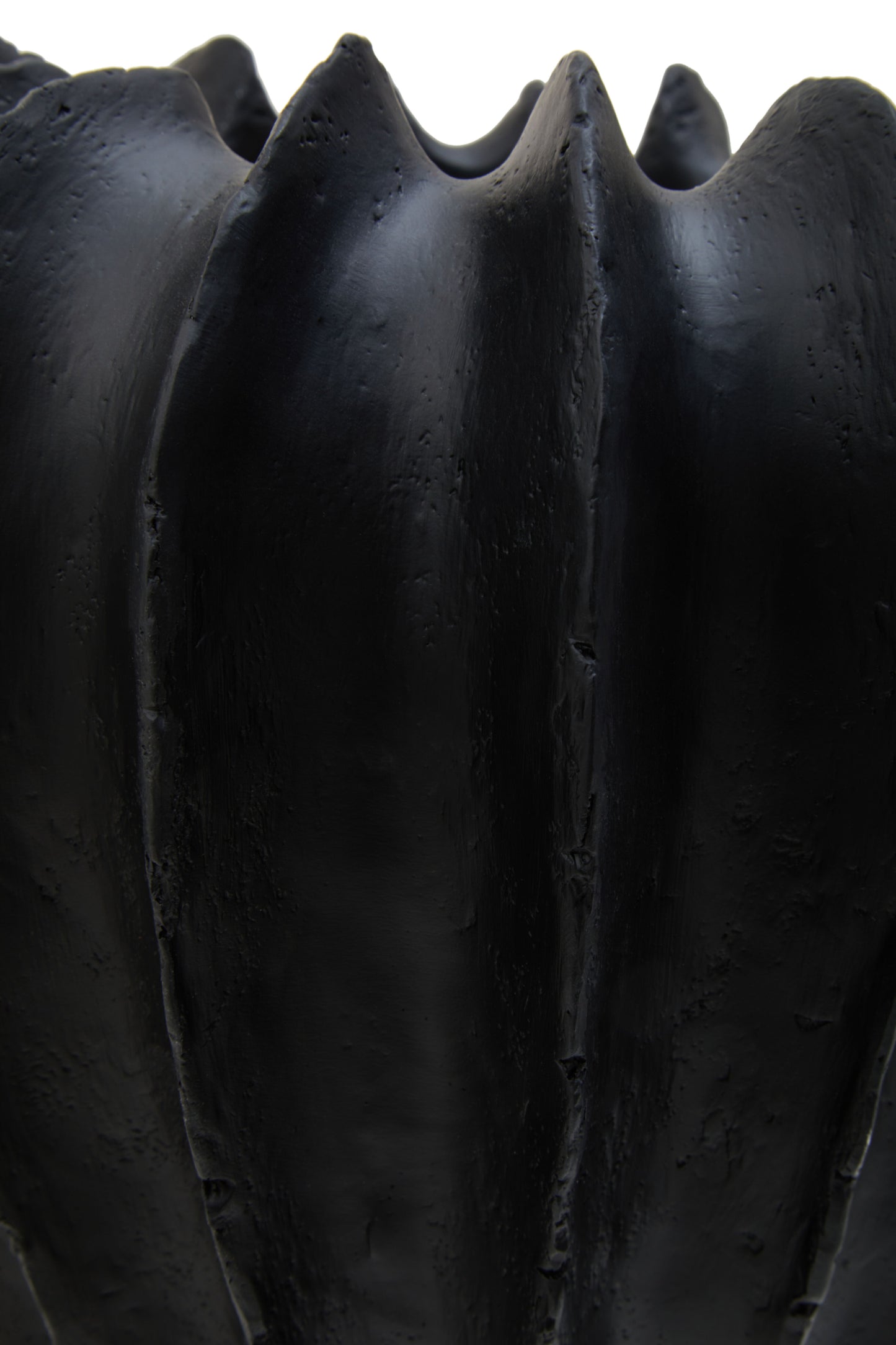 Night Shell Vase