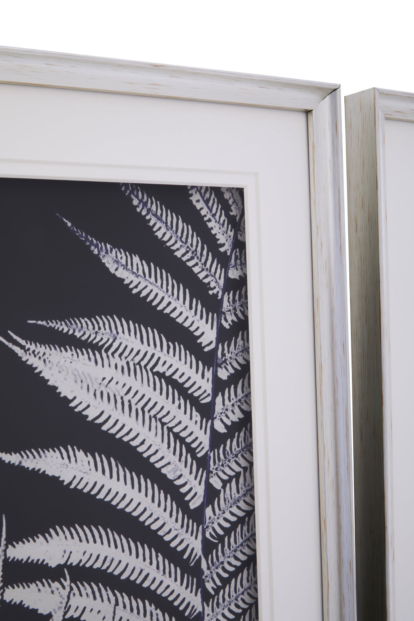Nason Leaf Pair Wall Art Prints