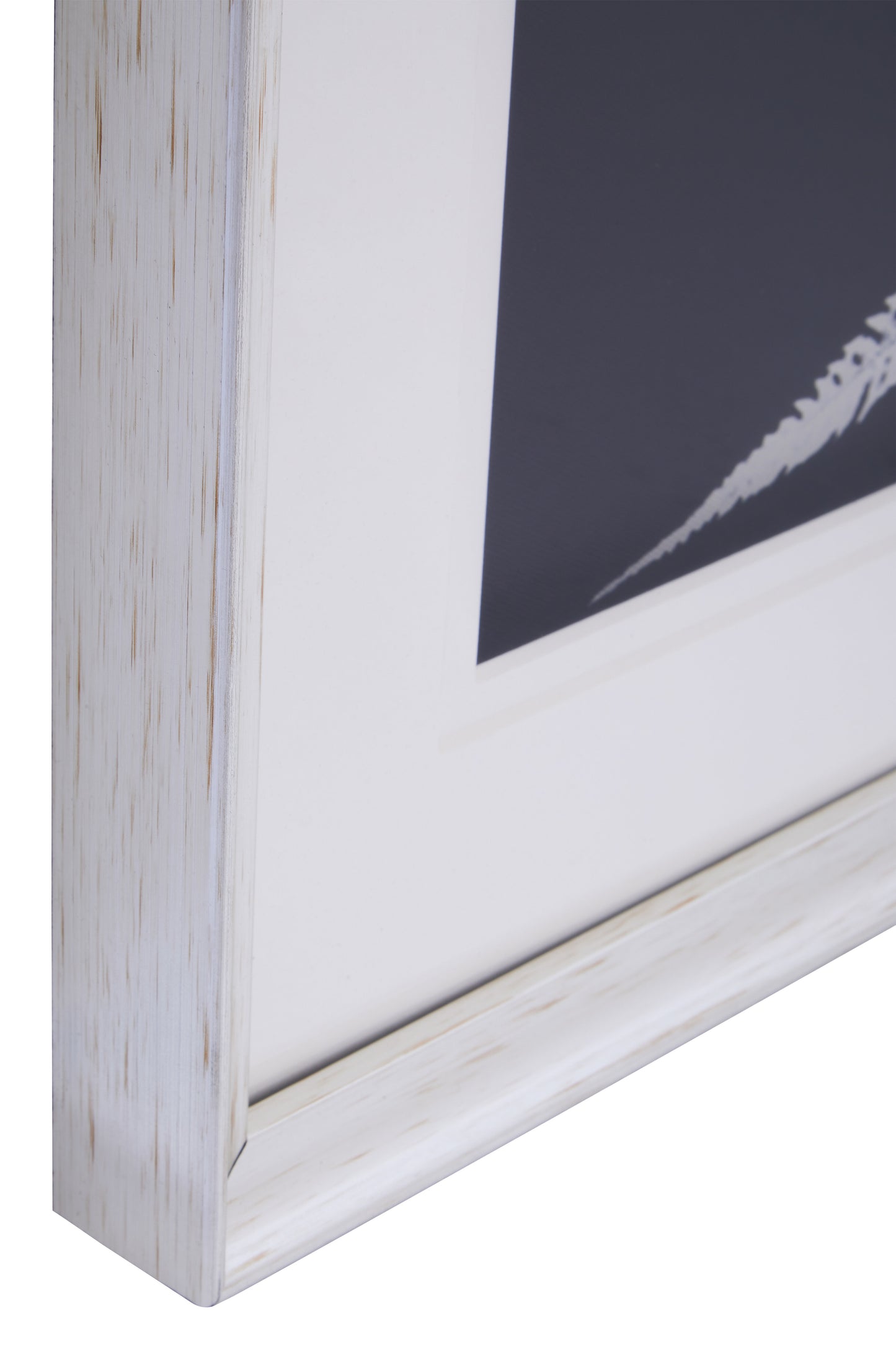 Nason Leaf Pair Wall Art Prints