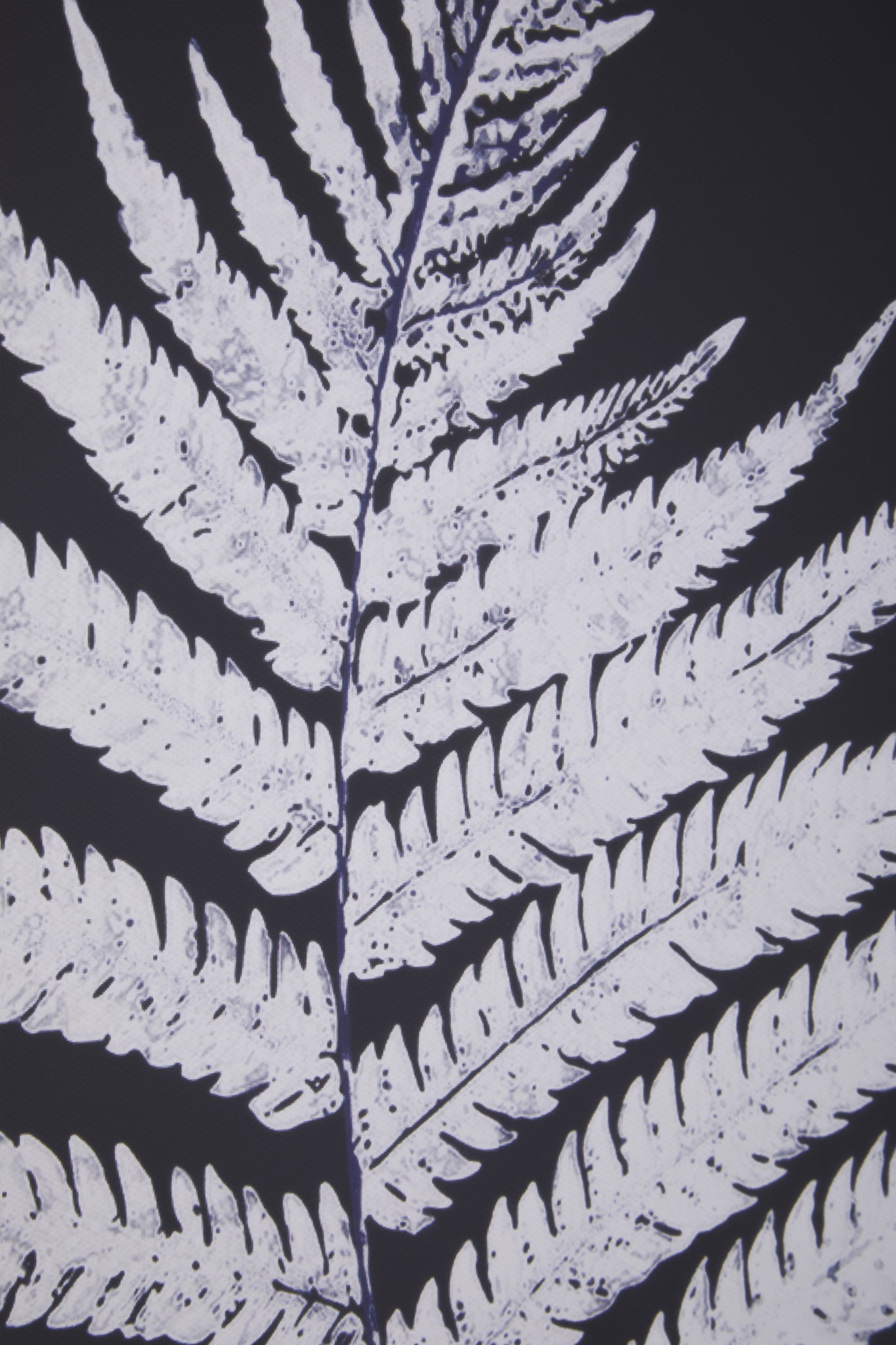 Nason Leaf Pair Wall Art Prints