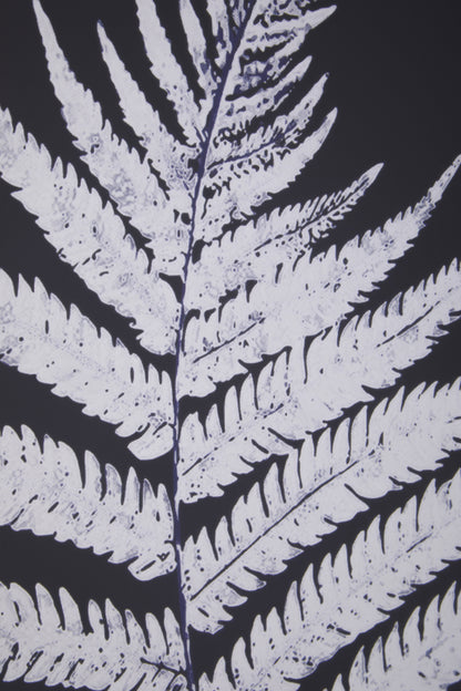Nason Leaf Pair Wall Art Prints