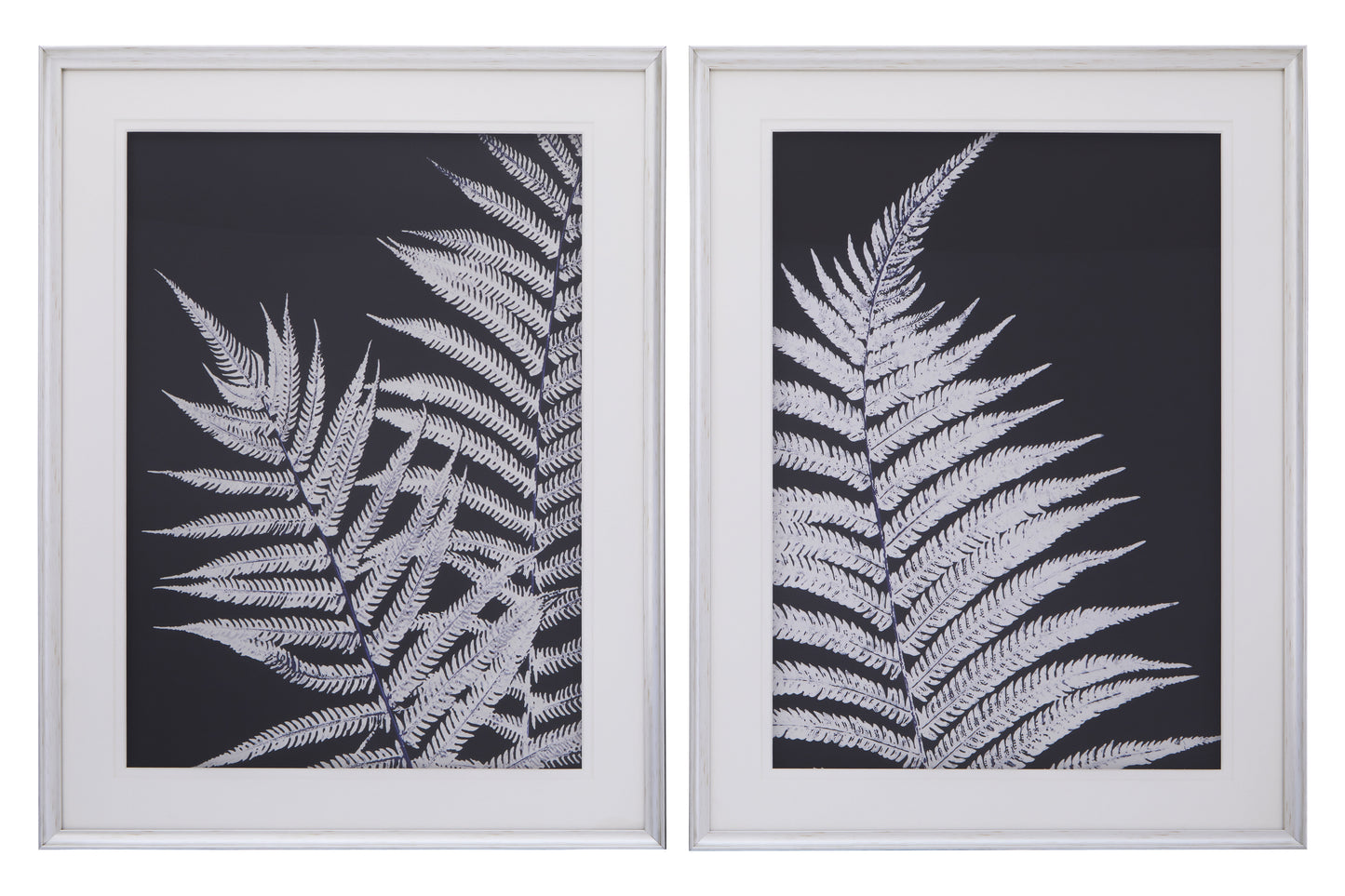 Nason Leaf Pair Wall Art Prints