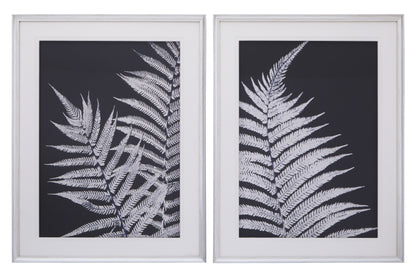 Nason Leaf Pair Wall Art Prints