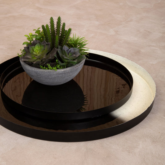 Knight Ramus Trays - Set of Two